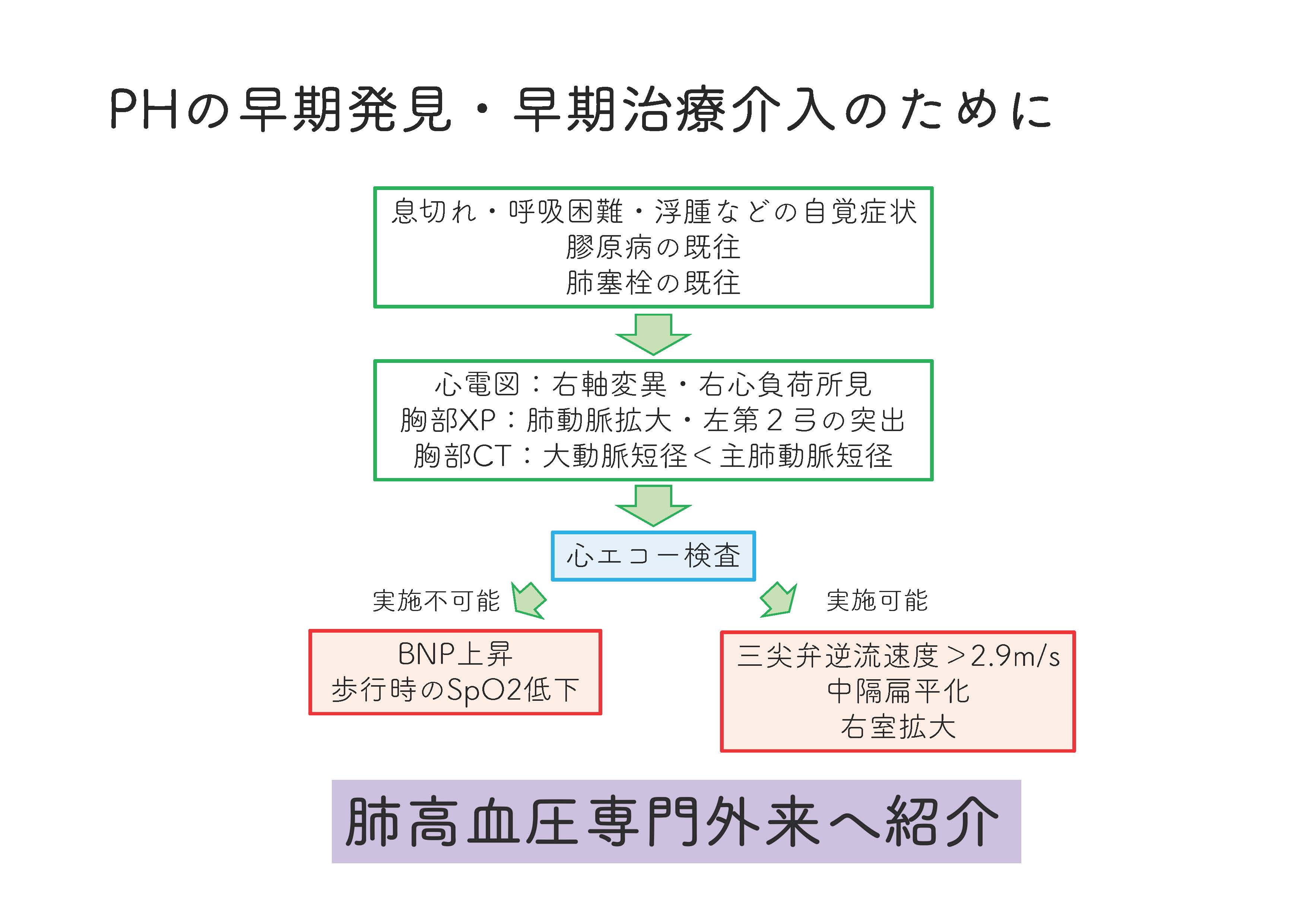 フランドールテープ 肺高血圧症 ストア